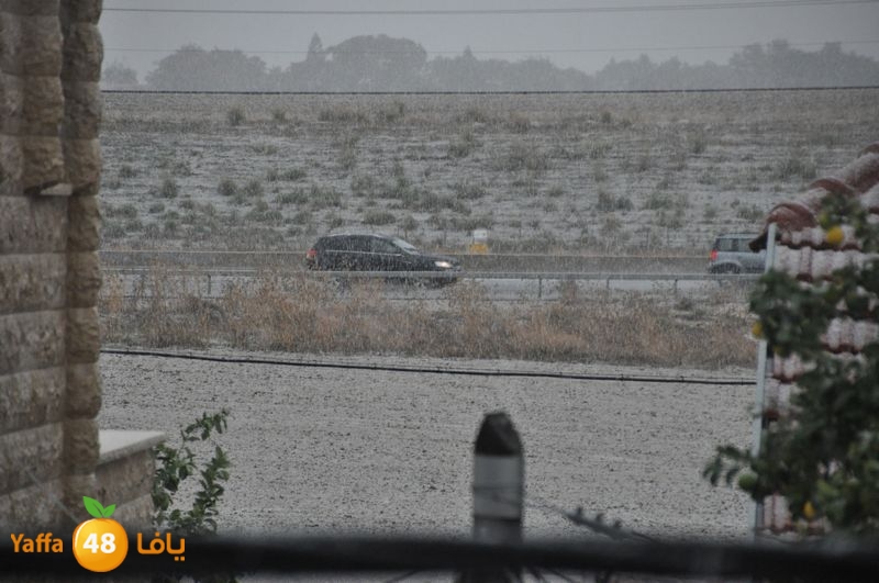 iceman lud 1213 (16).JPG